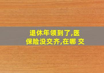 退休年领到了,医 保险没交齐,在哪 交